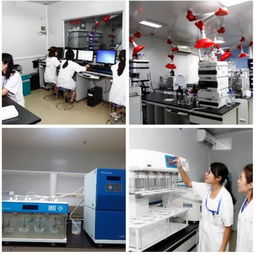 公司新闻 新药与医疗器械一站式综合服务CRO平台发布